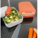 Lunchbox Regtangle Teracotta